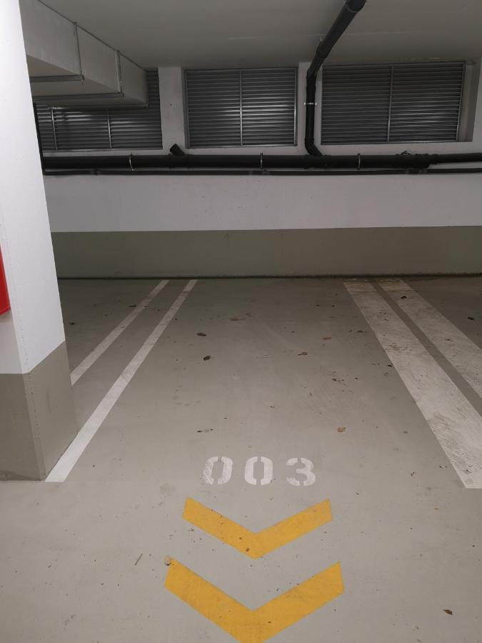 Rooftop Terrace, Free Garage Parking And Pool! Wien Eksteriør billede